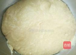 免揉酥粒排包的做法图解6