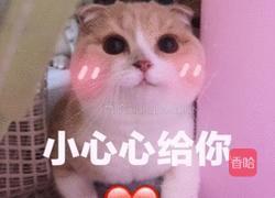 山西 擦擦的做法图解10