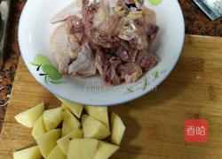 土豆烧鸡的做法图解1
