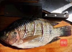 家常炖罗非鱼的做法图解1