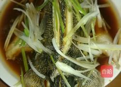 清蒸鲈鱼的做法图解5