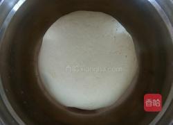 玉米面菜团子(酸菜猪肉馅)的做法图解4