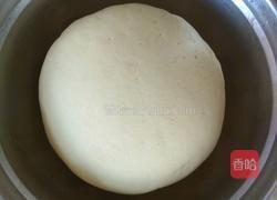 玉米面菜团子(酸菜猪肉馅)的做法图解10