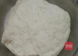 史上最喜感熊猫豆沙包的做法图解2