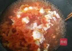 番茄鸡蛋汤的做法图解13