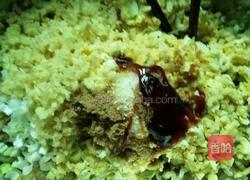 素饺子的做法图解5