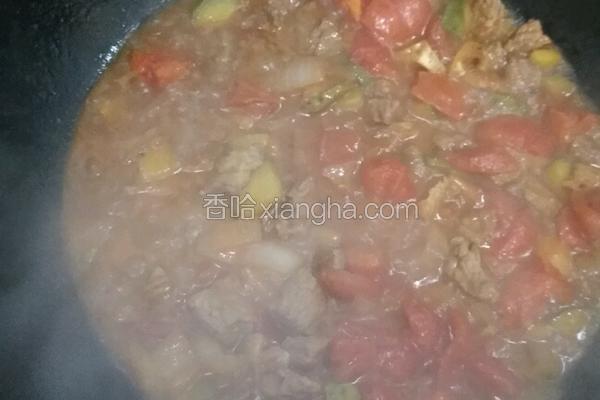家常炖牛肉