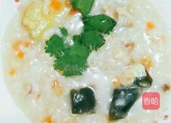 皮蛋瘦肉粥(第一种方法）的做法图解15