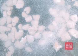 皮蛋瘦肉粥(第一种方法）的做法图解5