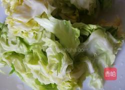 手撕包菜的做法图解1