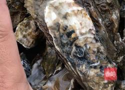 捞汁小海鲜的做法图解1