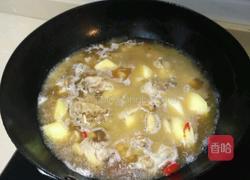 土豆烧鸡块的做法图解5