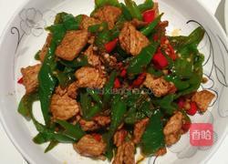 辣椒炒肉的做法图解5
