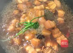 Illustration of how to make braised pork 10