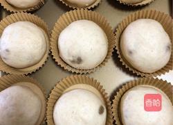 超软椰蓉葡萄干小面包的做法图解16