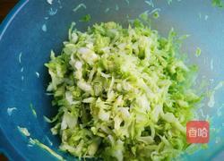 素颜春色（干煸卷心菜）的做法图解5