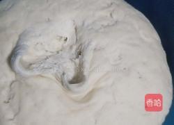 蒸花卷的做法图解4