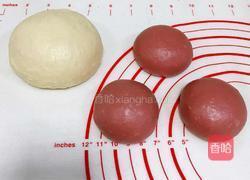 双色椰浆面包的做法图解7