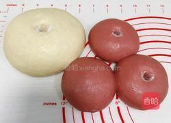 双色椰浆面包的做法图解8