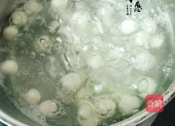 新式手工汤圆(糯米糍)的做法图解9