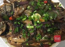 红烧鲫鱼的做法图解15