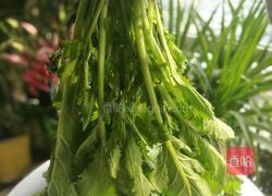 雪里红自制的做法图解1