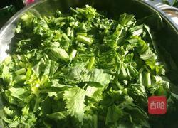 雪里红自制的做法图解4