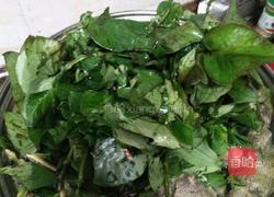 鱼腥草煲猪肺汤的做法图解11