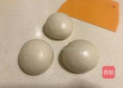 梅菜肉饼的做法图解2