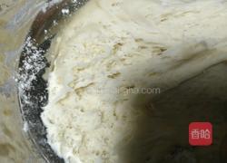 白菜胡萝卜鲜肉包的做法图解3