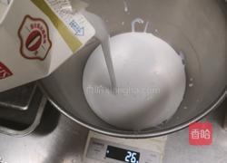 沙皮狗慕斯的做法图解8