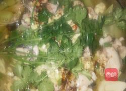 美味可口的酸菜鱼少不了自制泡菜的做法图解7