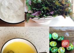 紫苏饮的做法图解1