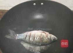 鲫鱼豆腐汤的做法图解4