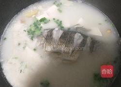 鲫鱼豆腐汤的做法图解13