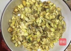 炒黄豆芽的做法图解3