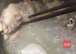 萝卜炖羊肉的做法图解13