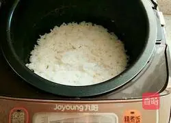 Illustration of how to make watermelon rice balls 1