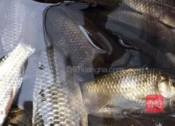 凉拌鲫鱼(无油版)的做法图解1