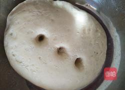 荠菜菜盒子的做法图解1