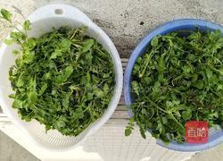 荠菜菜盒子的做法图解2