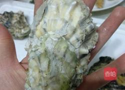 清蒸海蛎子的做法图解4