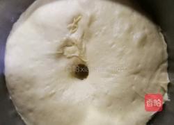 椰香汉堡胚（波兰种）的做法图解6