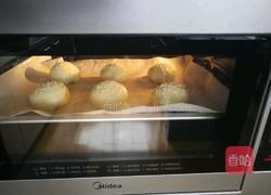 椰香汉堡胚（波兰种）的做法图解9