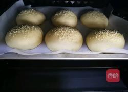 椰香汉堡胚（波兰种）的做法图解10