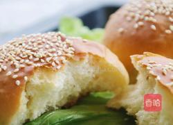 椰香汉堡胚（波兰种）的做法图解12