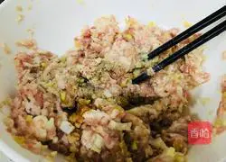 Fresh Meat Wonton Recipe Illustration 5