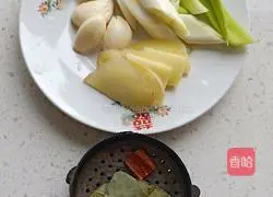 Illustration of braised pork ribs 3