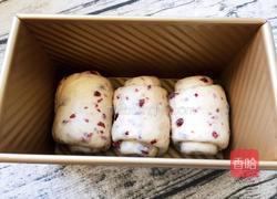 蔓越梅吐司的做法图解10