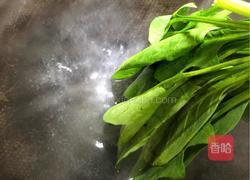 面片儿的做法图解6